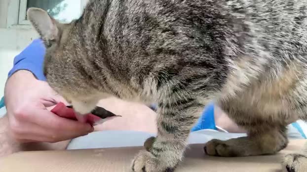 waynenorth 29-04-2024 video handsome