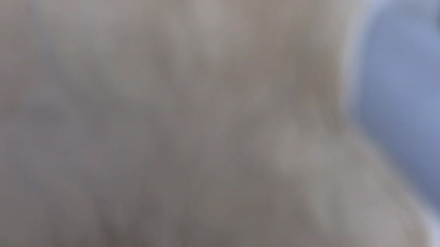 aizen_3 30-04-2024 video lush