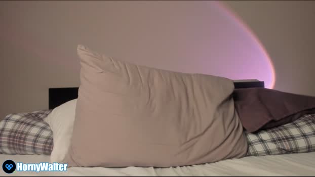 honeywalter 29-04-2024 video strip