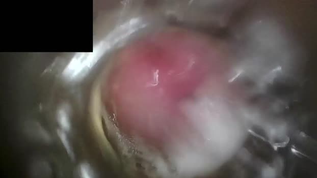 xoxowtf 29-04-2024 video bigass