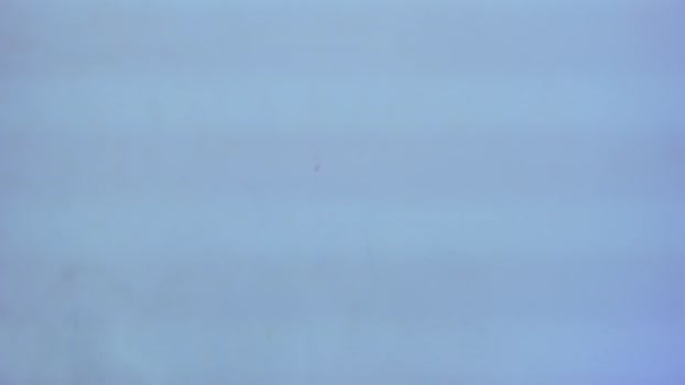 christofer_wallace 30-04-2024 video spanking