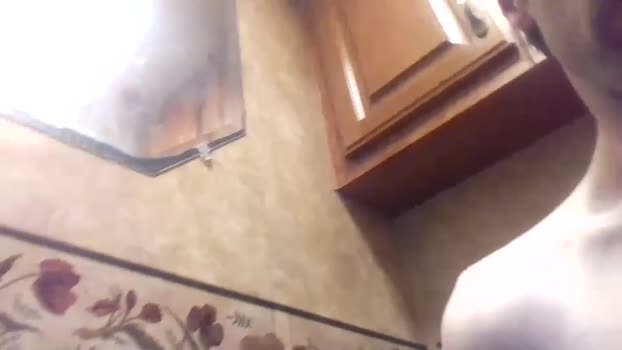 hungazfuk 30-04-2024 video harddick