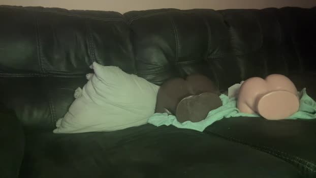 alphazack14 02-05-2024 video gag