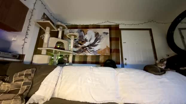 dylandaniel69 02-05-2024 video bicurious