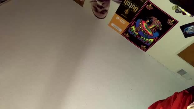 iam_papa187 02-05-2024 video bigload