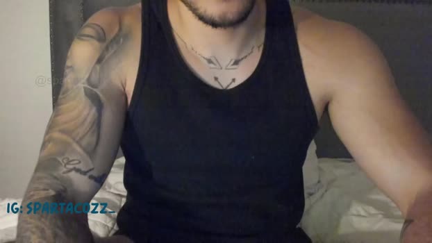 spartacozz 02-05-2024 video bigtoys
