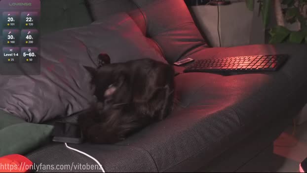 vito_benz 03-05-2024 video Recorded