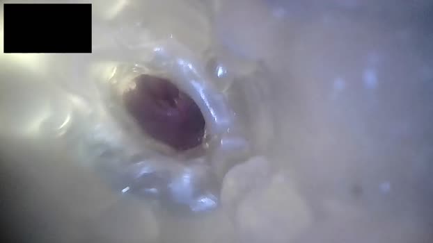 xoxowtf 04-05-2024 video sexyfeet