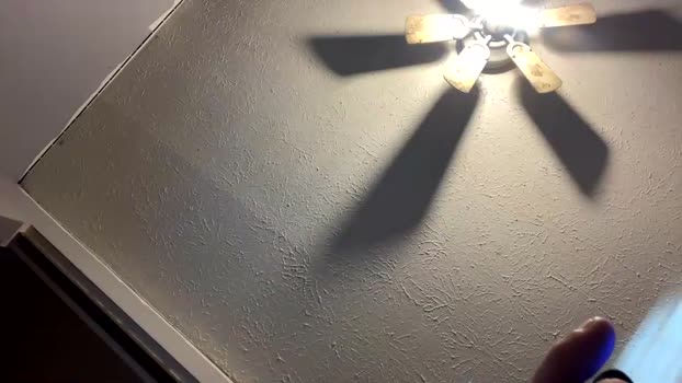 drlongdick91 05-05-2024 video kissing