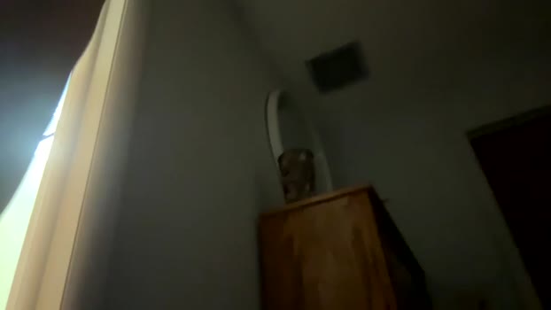 bigtimber02 07-05-2024 video bj-dildo