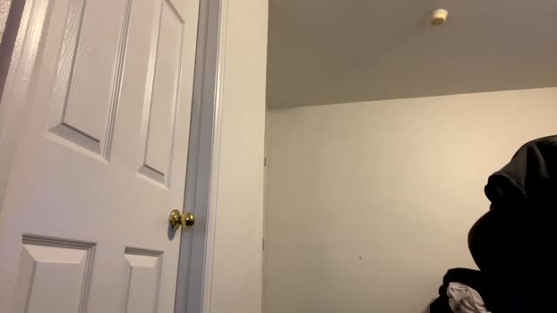 budice1 08-05-2024 video amateur