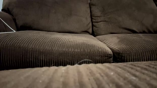 blanco___ 09-05-2024 video blowjob