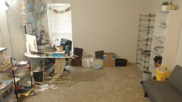 bryancavallo 11-05-2024 video play