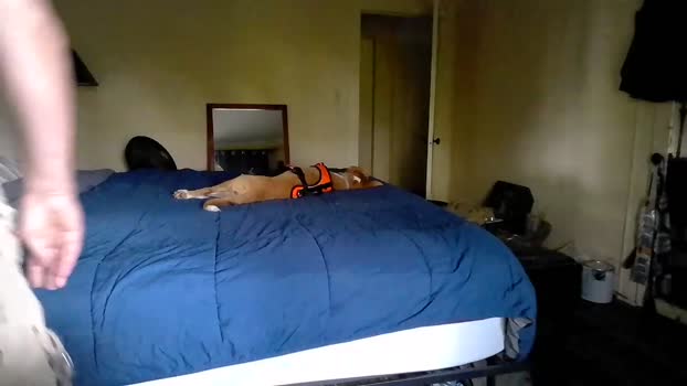 dirk_digggler 10-05-2024 video blowjob