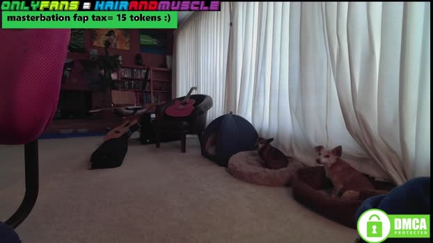 hairandmuscle 10-05-2024 video bigass