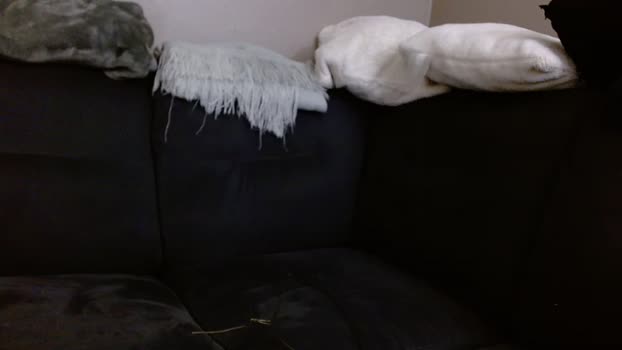 gfymb 13-05-2024 video analsex