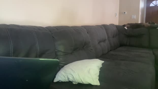 alphazack14 14-05-2024 video Download