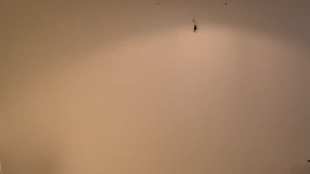 xhornydorny 14-05-2024 video sexy