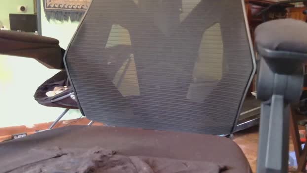 brenden02 14-05-2024 video suckshow