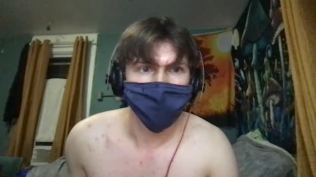 greggob 16-05-2024 video toy