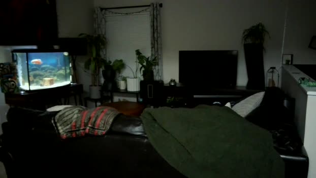 dohmerboyz 17-05-2024 video big