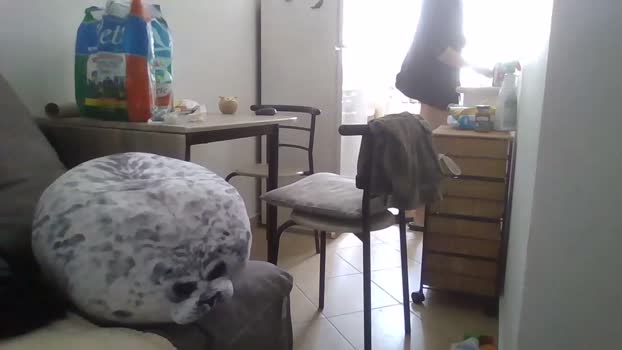 lapalissandro 21-05-2024 video Naked