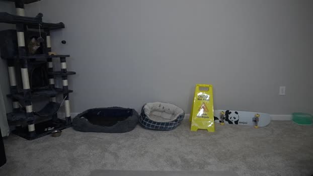 sydaffect 21-05-2024 video sexybody