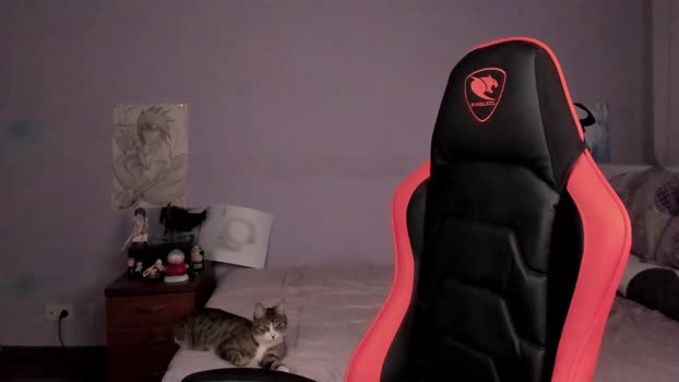 jeff_enigma 23-05-2024 video cute