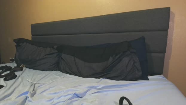 downforthemoney 24-05-2024 video nasty