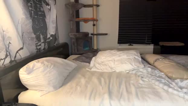 iblamedevan 25-05-2024 video nasty