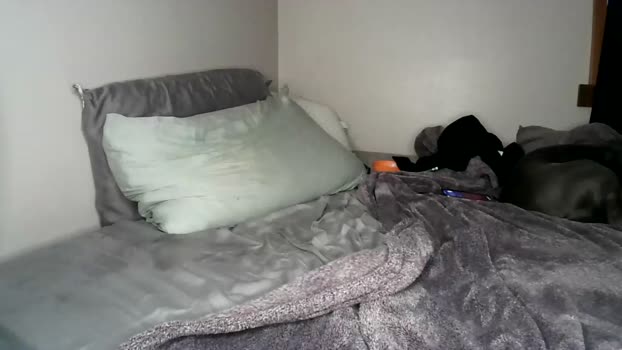 mrthirdlegg312 25-05-2024 video kink