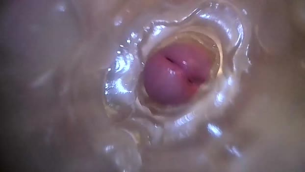 xoxowtf 25-05-2024 video fingering