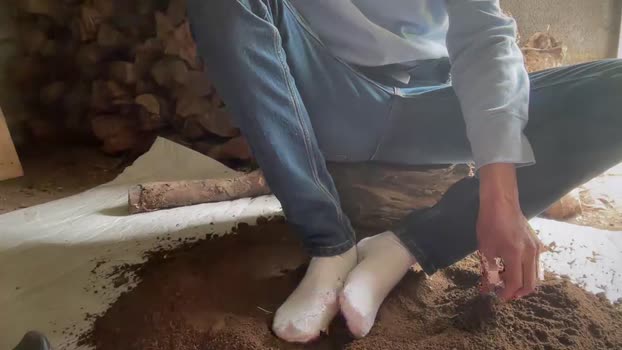 sondages 26-05-2024 video deepthroat