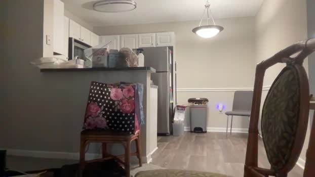 pebblesindogs 26-05-2024 video horny