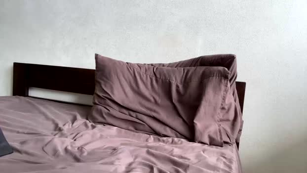 kiwigray 29-05-2024 video gag