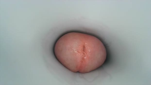 jeffrodgerschaturbat 30-05-2024 video Video