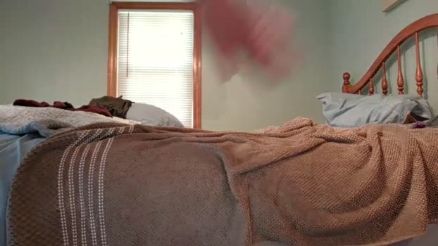 asstricks 31-05-2024 video Pretty