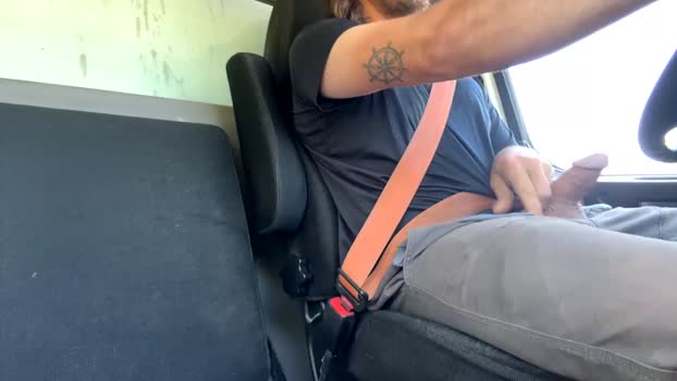 modern_animal 01-06-2024 video strip