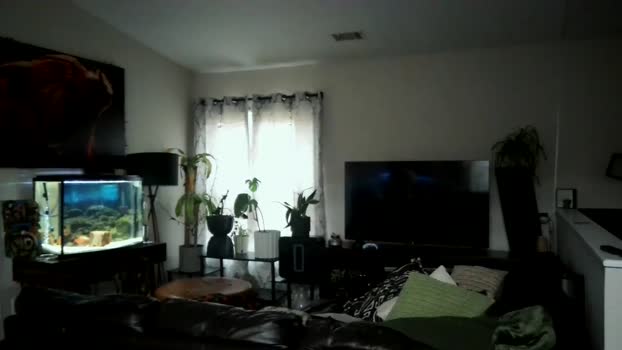 dohmerboyz 02-06-2024 video toy