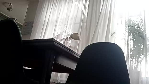 rubenkooi 02-06-2024 video kiss