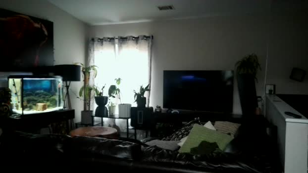 dohmerboyz 02-06-2024 video sexybody