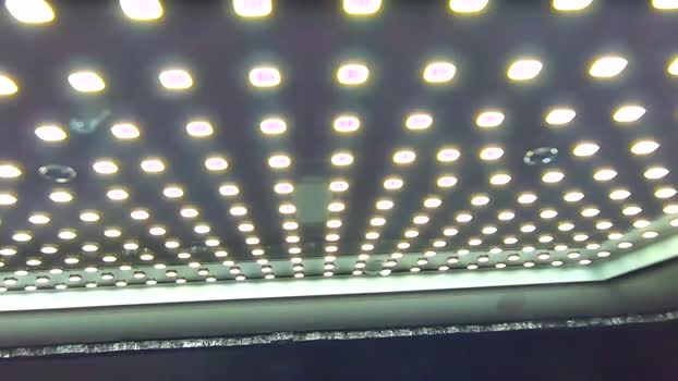 kobayaski 03-06-2024 video beautiful