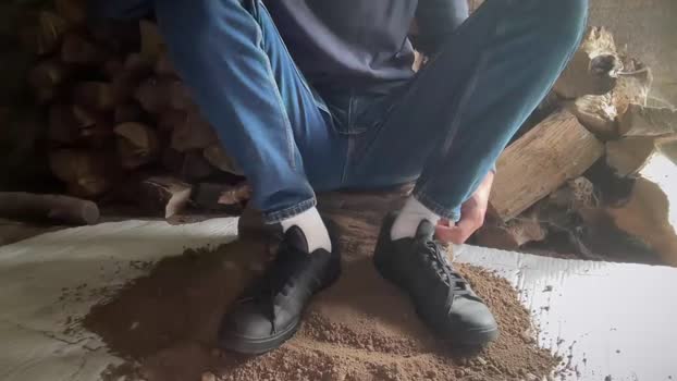 sondages 04-06-2024 video big