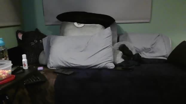 mikegrows 05-06-2024 video Ass