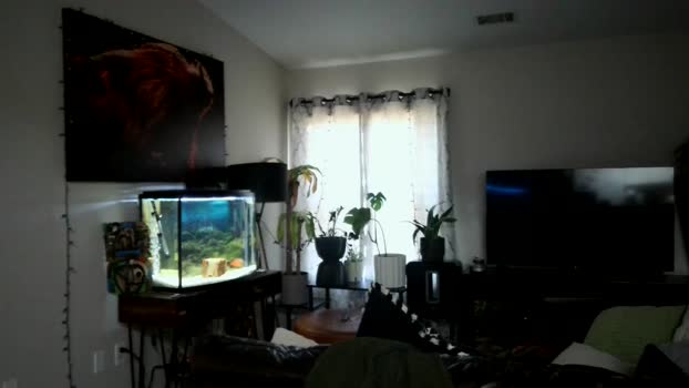 dohmerboyz 06-06-2024 video Nude