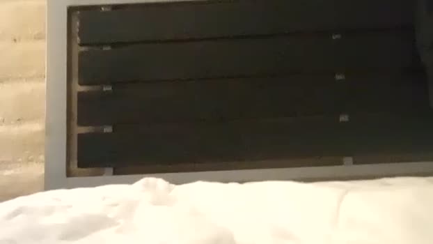 bigwhited2115 07-06-2024 video sexykitty