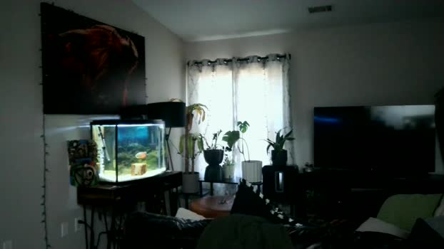 dohmerboyz 06-06-2024 video big