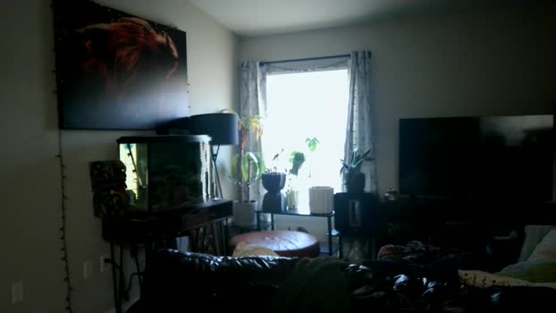 dohmerboyz 07-06-2024 video bigballs