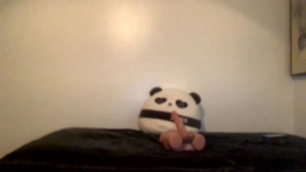 taylormade249 08-06-2024 video big