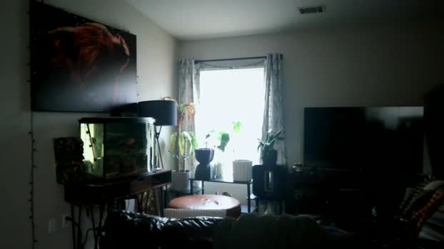 dohmerboyz 10-06-2024 video Ass